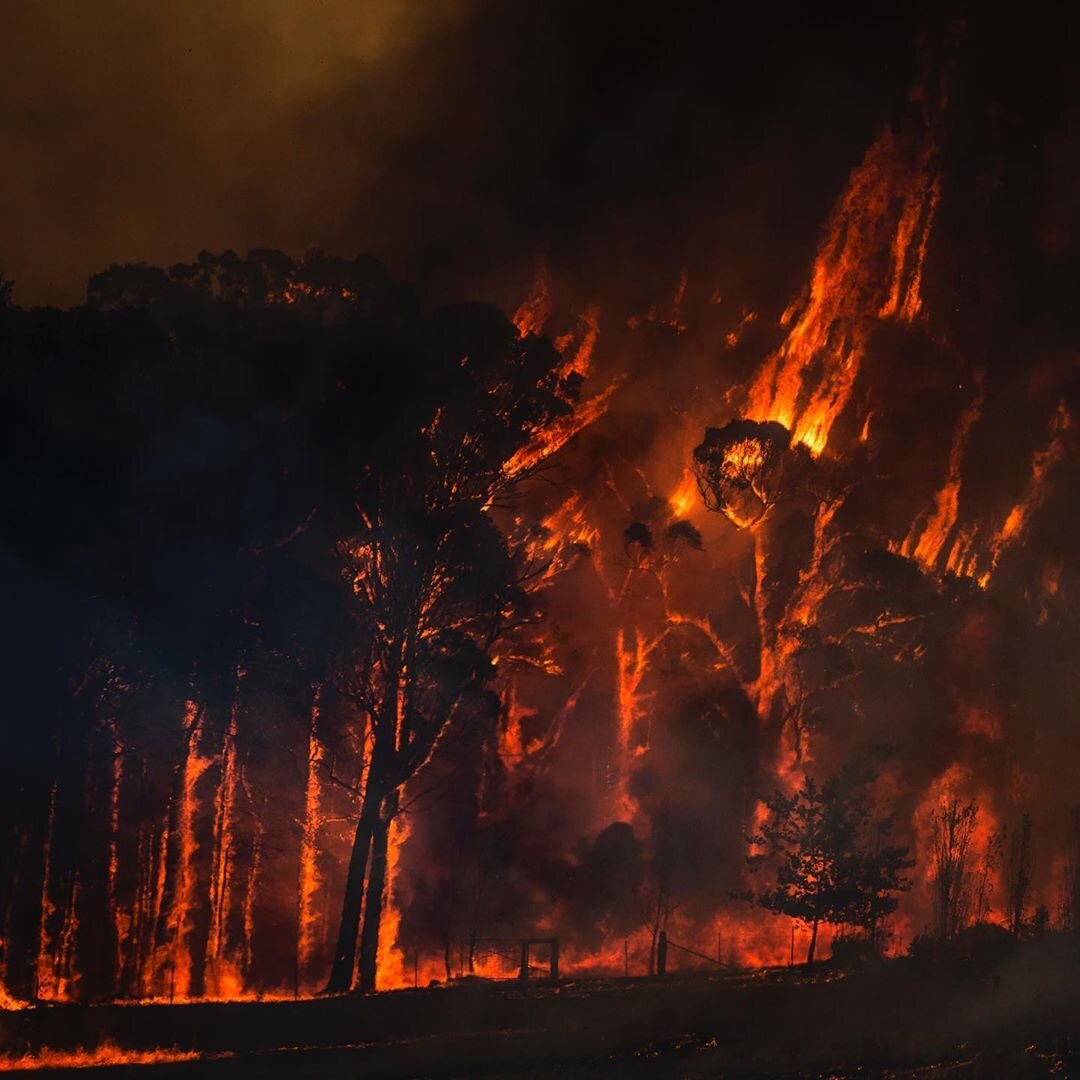 В тот страшный день земля. Пожары в Австралии 2020. Лесные пожары в Австралии 2020. Лесные пожары в Австралии 2020 из космоса. Пожары лесов в Австралии в 2020.