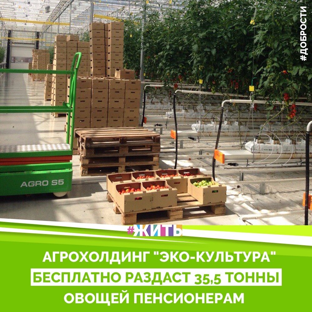 Рубрика "Добрости" ❤️😁

АГРОХОЛДИНГ "ЭКО- КУЛЬТУРА" БЕСПЛАТНО РАЗДАСТ 35,5 ТОННЫ ОВОЩЕЙ ПЕНСИОНЕРАМ

Томаты, огурцы и зелень получат нуждающиеся пожилые жители в шести регионах.

Агропромышленный холдинг "ЭКО-культура" бесплатно предоставит 35,5 тонны свежих овощей пенсионерам в регионах своего присутствия. Томаты, огурцы и зелень получат нуждающиеся пожилые жители в шести регионах России, сообщила во вторник пресс-служба холдинга.

"Холдинг предоставляет более 35,5 тонны овощей нуждающимся пенсионерам Ставропольского края, Липецкой, Тульской, Воронежской, Московской и Ленинградской областей Свежие томаты, огурцы и листья салата помогут им разнообразить рацион и порадовать себя вкусными блюдами. Пенсионеры, нуждающиеся в соцобеспечении, получают не менее 5 кг овощей", - говорится в сообщении.

К компании отмечают, что масштабный благотворительный проект призван поддержать здоровье и хорошее настроение пожилых людей в период пандемии. Проект будет продолжаться в течение всего периода рекомендованной правительством самоизоляции.

"Государственное соцобеспечение предоставляет гражданам необходимый минимум продуктов, а мы решили добавить к нему овощей, выращенных с любовью нашими специалистами. Гуманитарная помощь для пенсионеров сегодня - это посильная каждому продовольственному предприятию активность", - цитирует пресс-служба президента холдинга Александра Рудакова.

#жить #проектжить #добрости