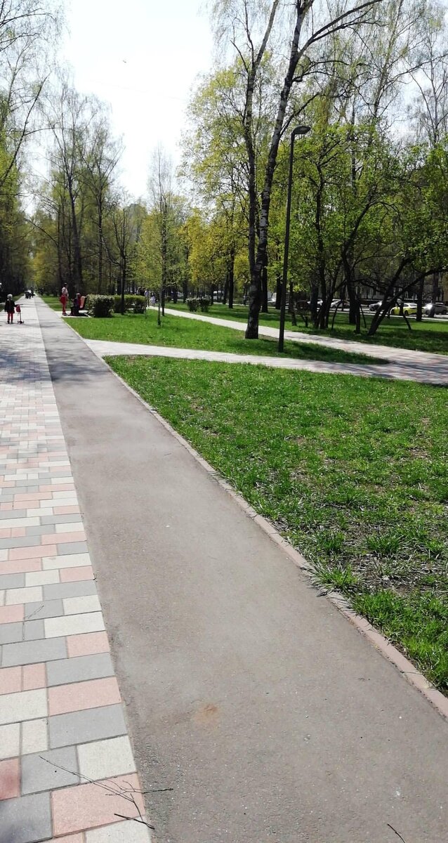 Фото из собственного архива: Москва парк