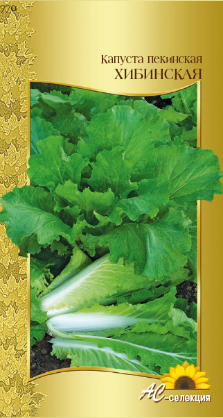 Иллюстрация bryansk.vsesorta.ru