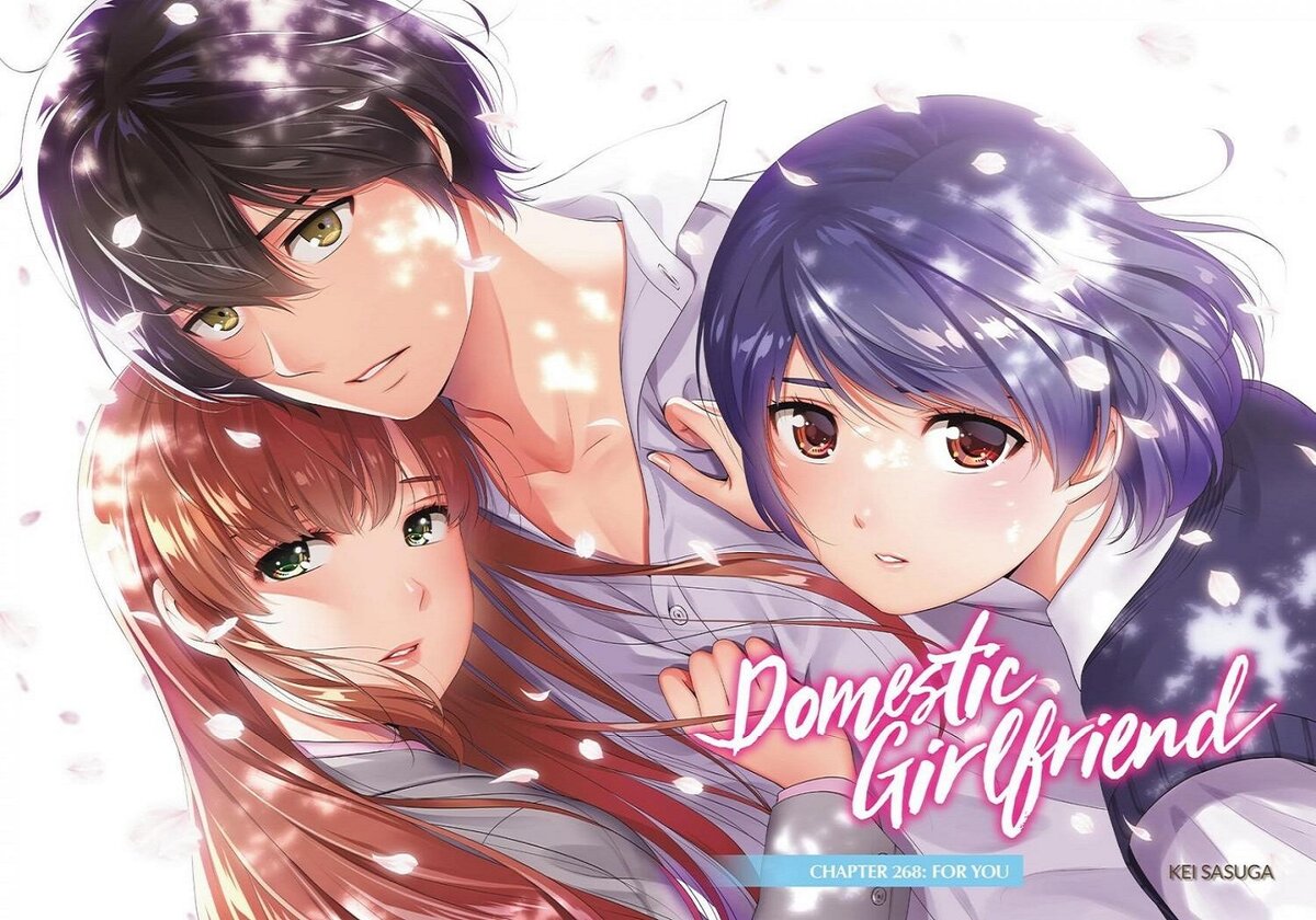 Domestic na Kanojo 