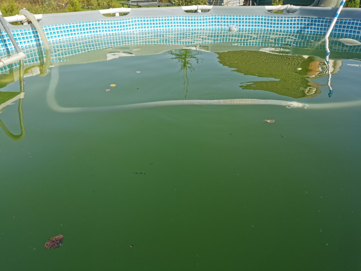 Приступаем.