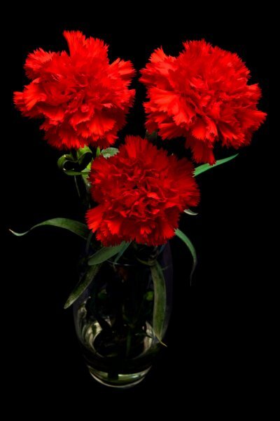 Фото из открытых источников интернета