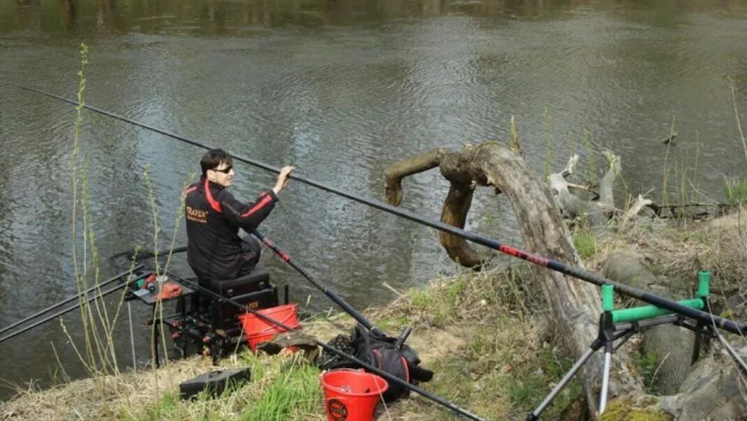 Штекер. Фото с sazanya-bukhta.ru