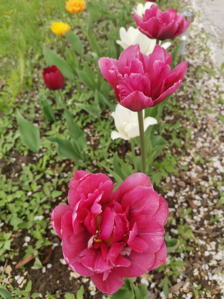 Фото взято из окрытых источников 