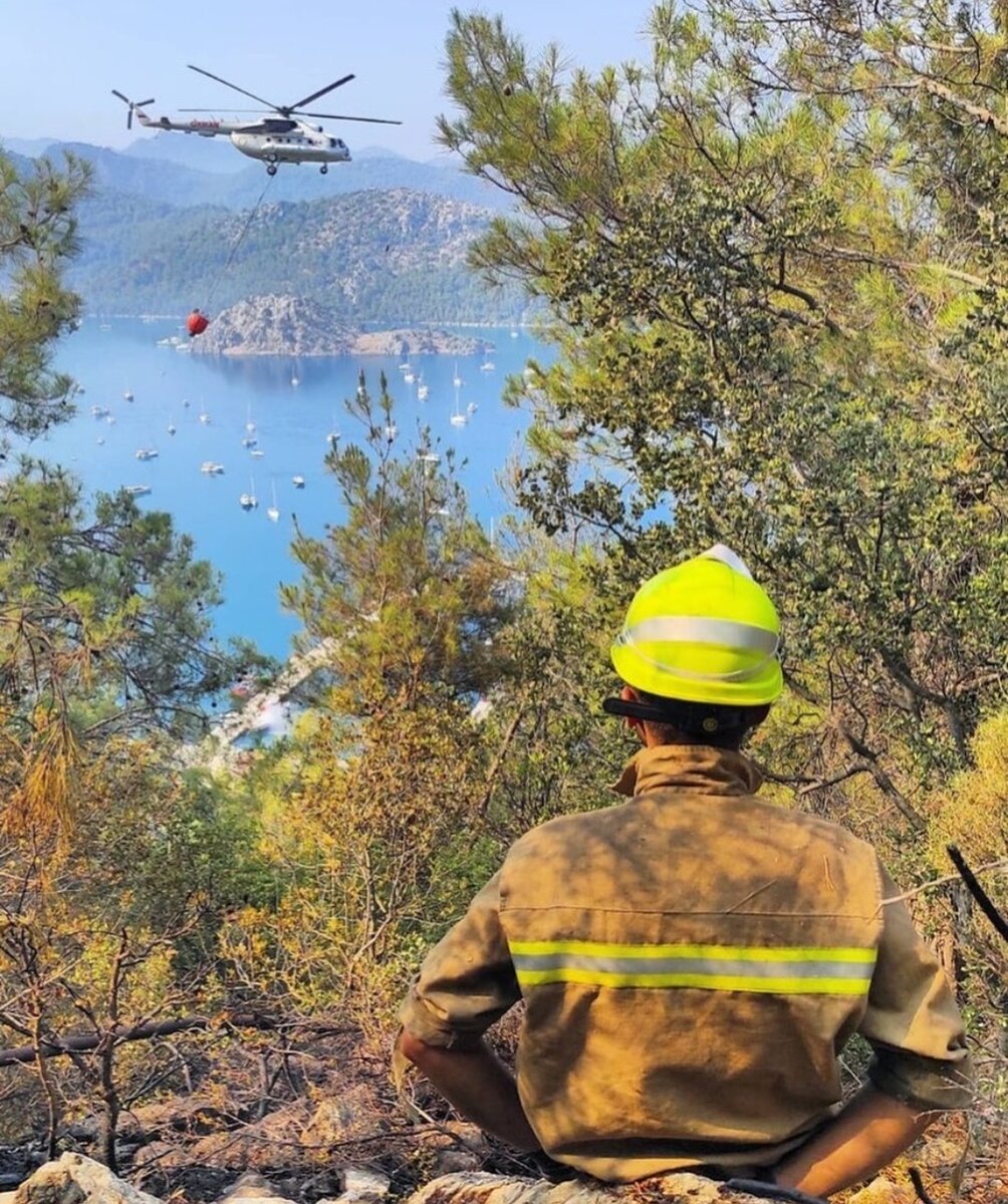 Вот такие дела у нас, ребята... Фото из соцсети Инстаграм
