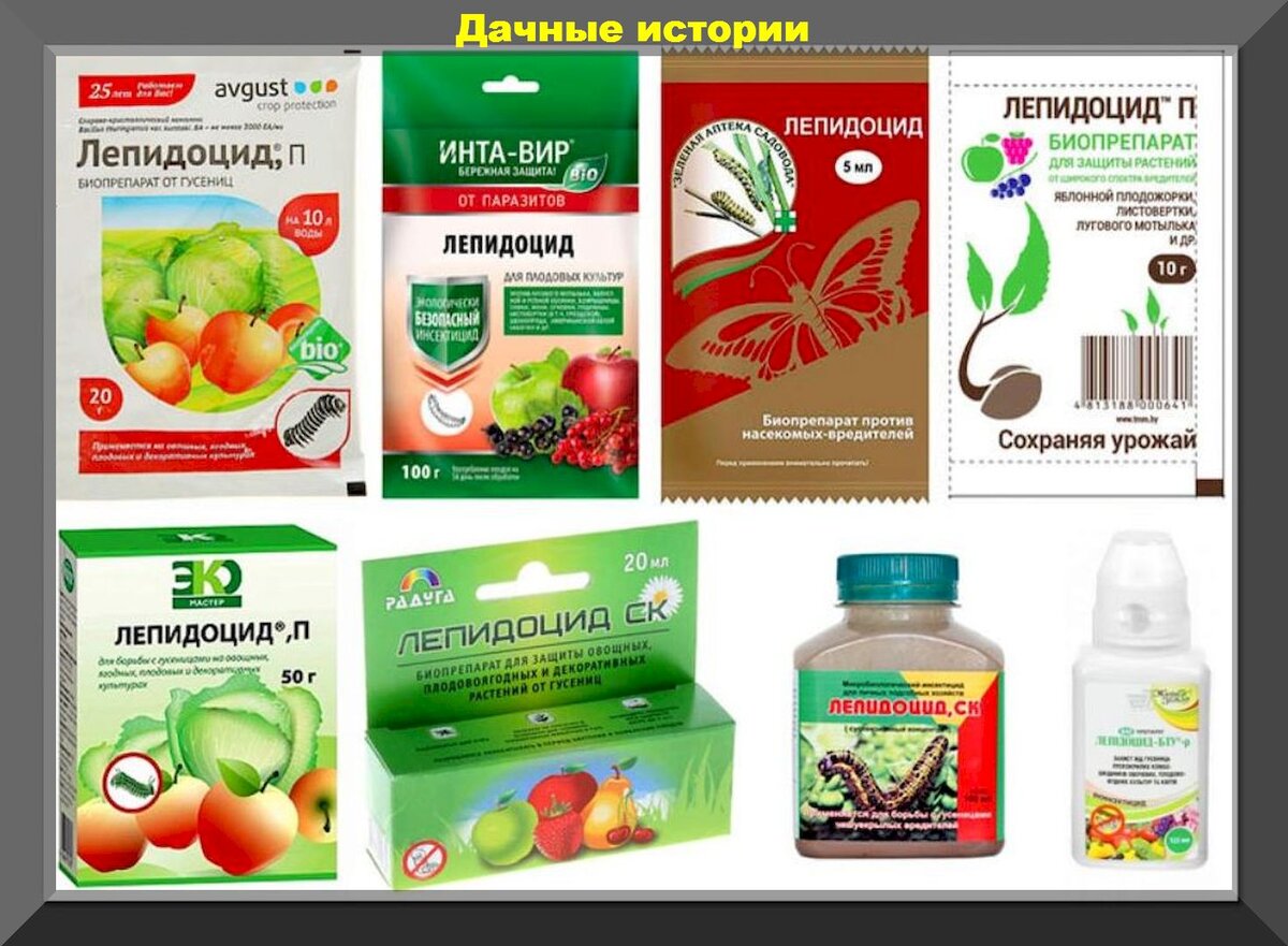 https://vk.com/photo-159774511_457249148