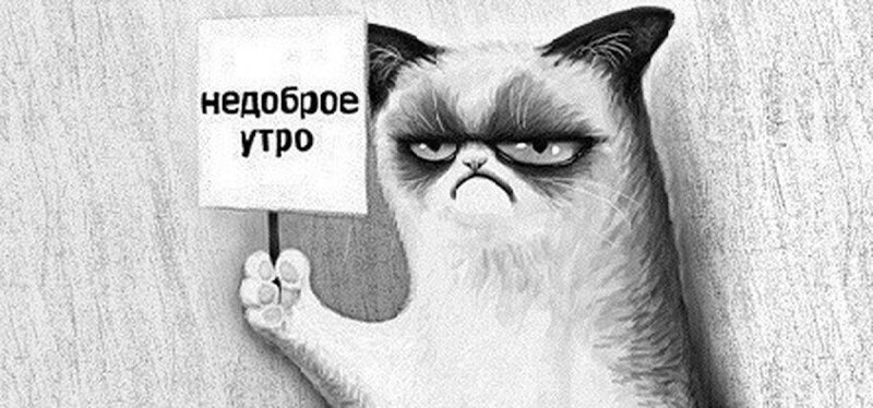 Злое утро картинки прикольные
