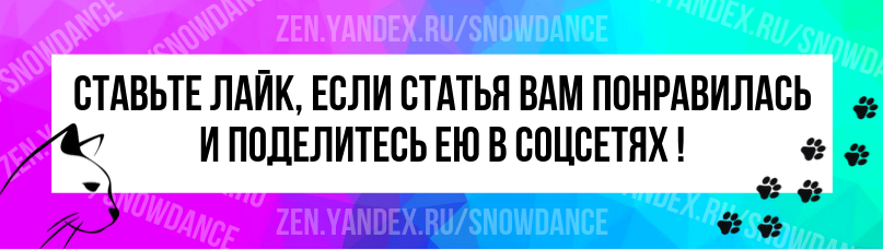 Кошка заходит со мной в туалет. Как это объяснить ребенку? - Советчица