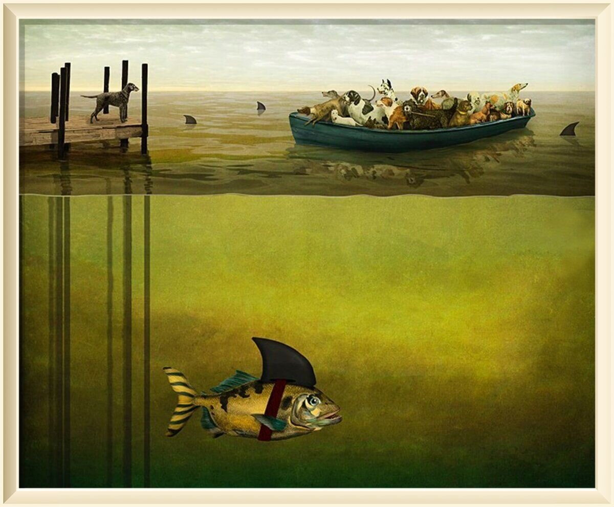 Collage by Maggie Taylor