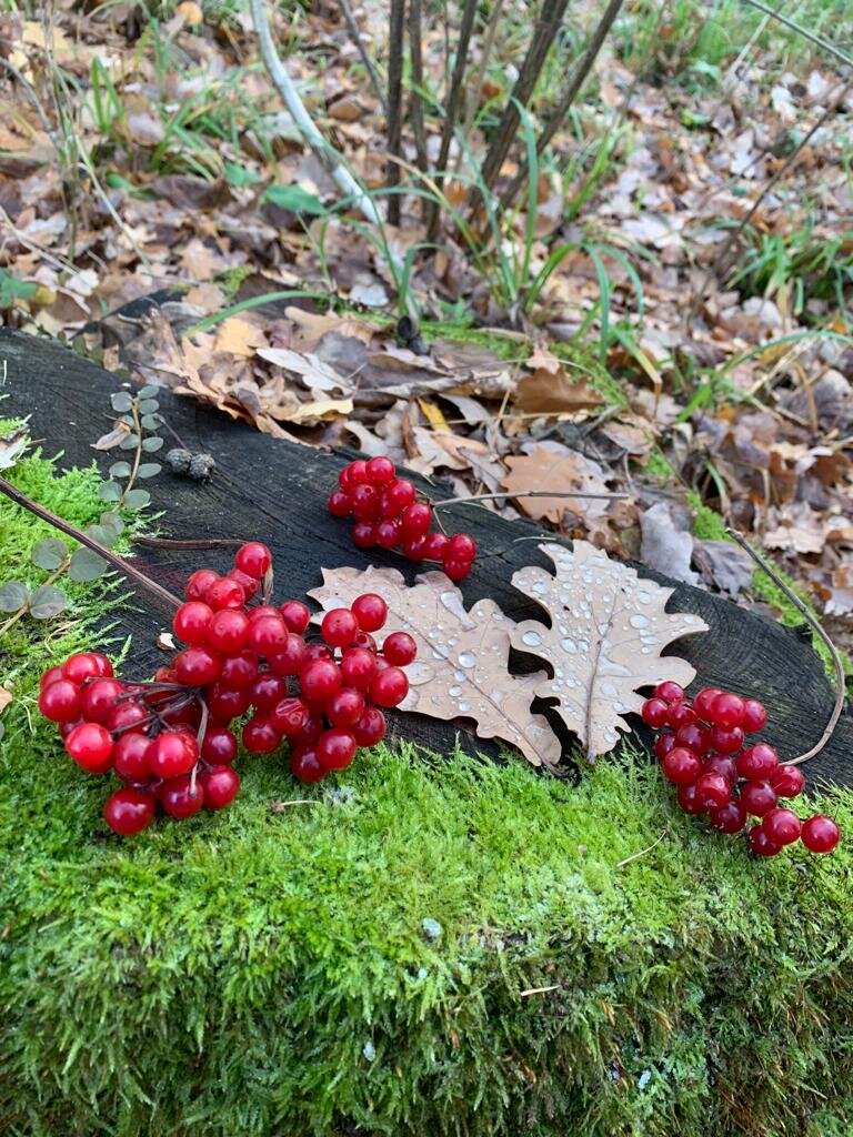 Фото сделано моим братом