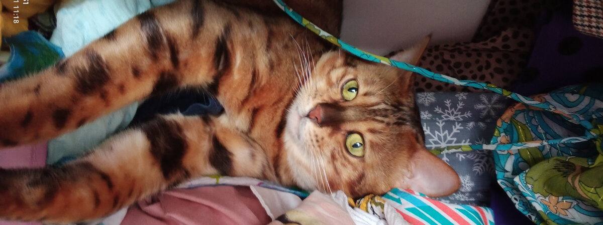 Фото автора)