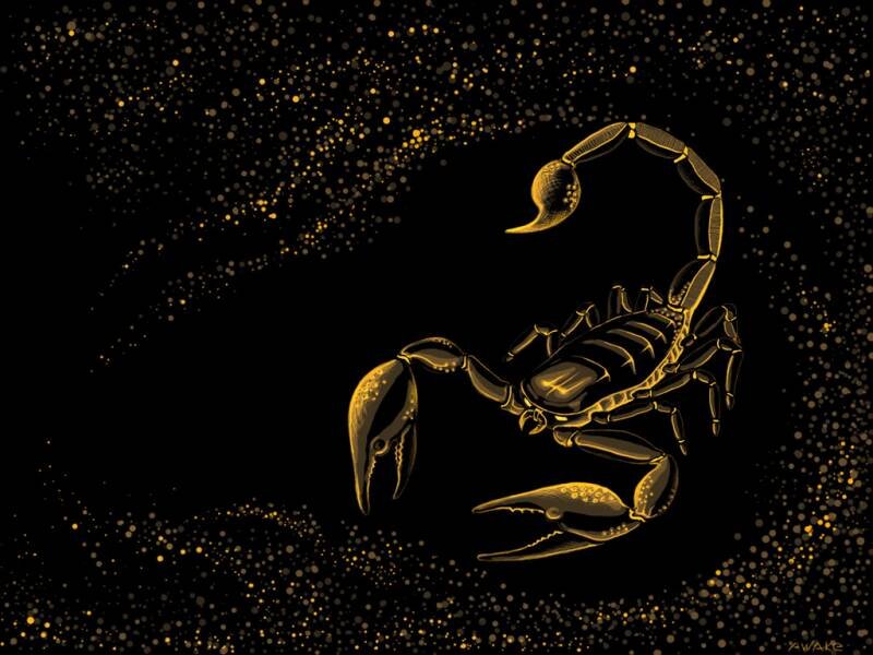 фото взято с яндекс галереи