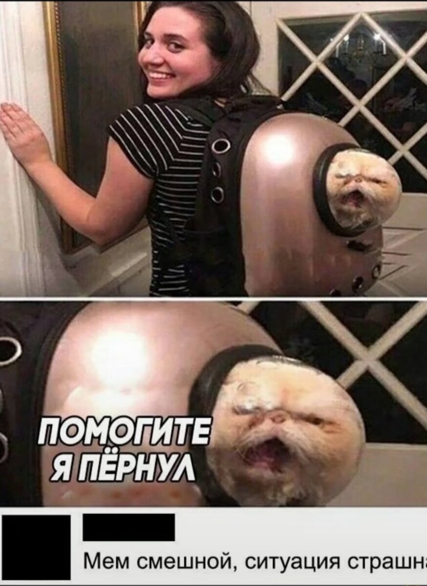 Мем напоследок!