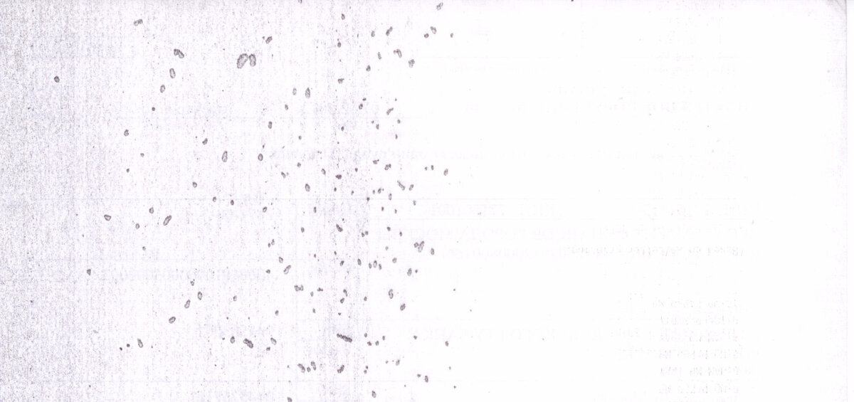Пример дефекта печати при поломке фотобарабана