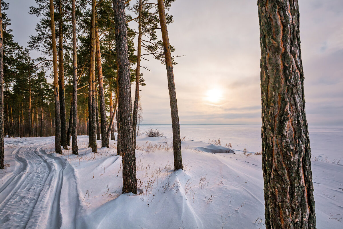 рекреационные ресурсы сибири. девственные леса коми республика коми. восток европейская равнина ископаемые. рекреационные западной сибири. рекреационные западной сибири.