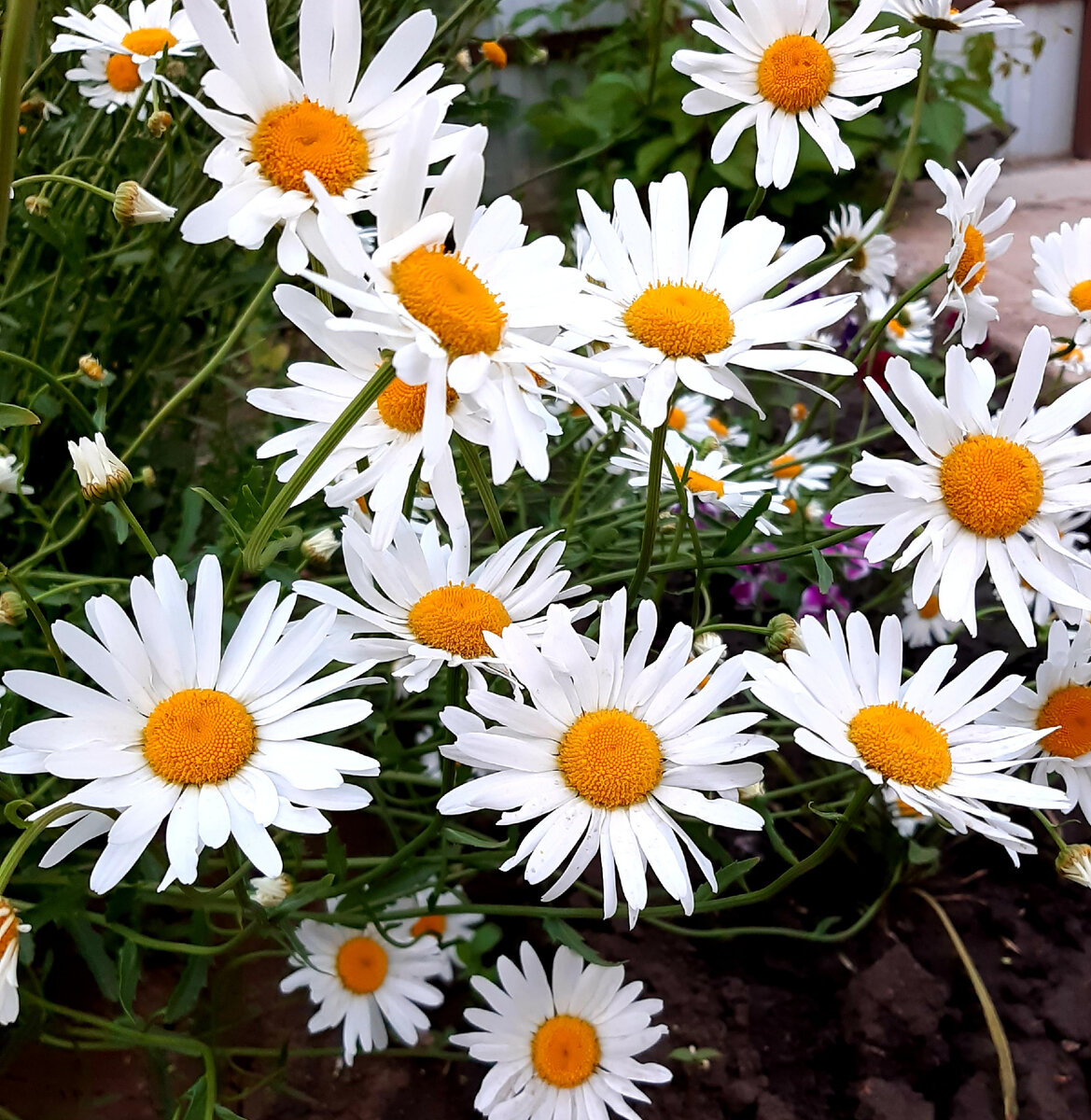 Мои фото - для души