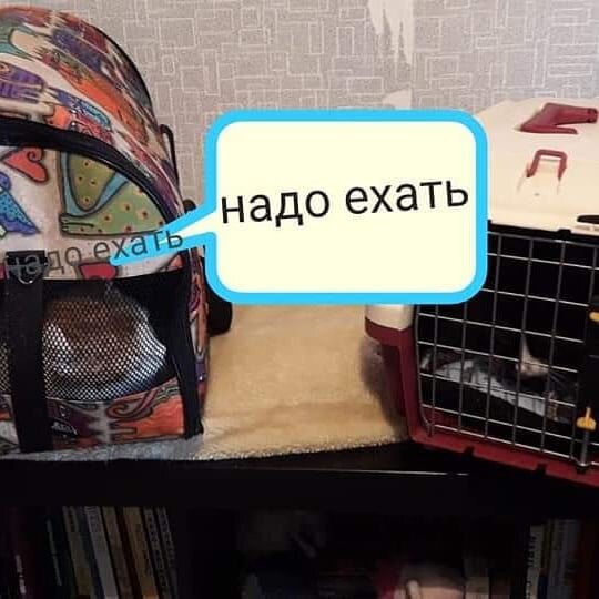 -1-3