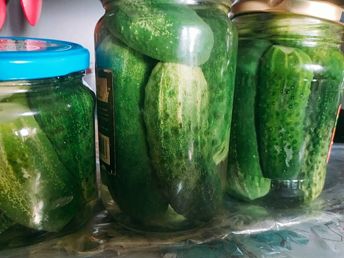 Маринованные огурцы без стерилизации. Вкусные огурцы на зиму. Огурцы на зиму. Салат из огурцов на зиму. Огурцы на зиму с лимонной кислотой на 3.