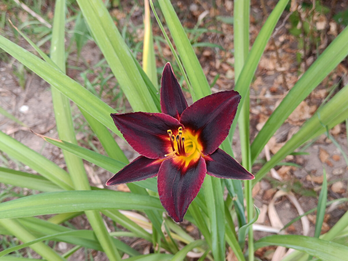 Фотография автора 