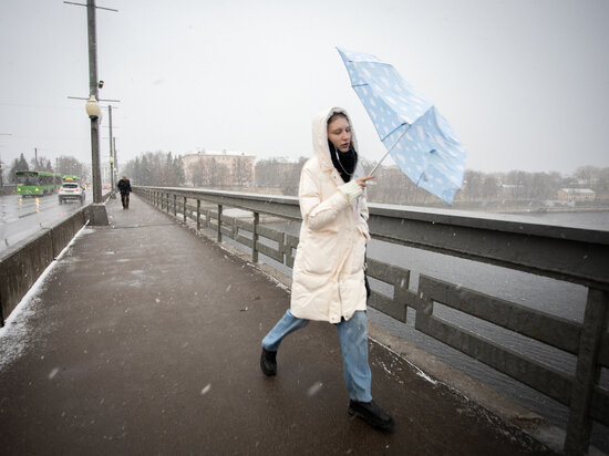     Ветер до 12 метров в секунду ожидается в Псковской области 31 января / Александр Елисеев