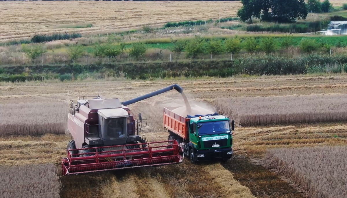 В "Прилуках" практически завершили уборку урожая 2023