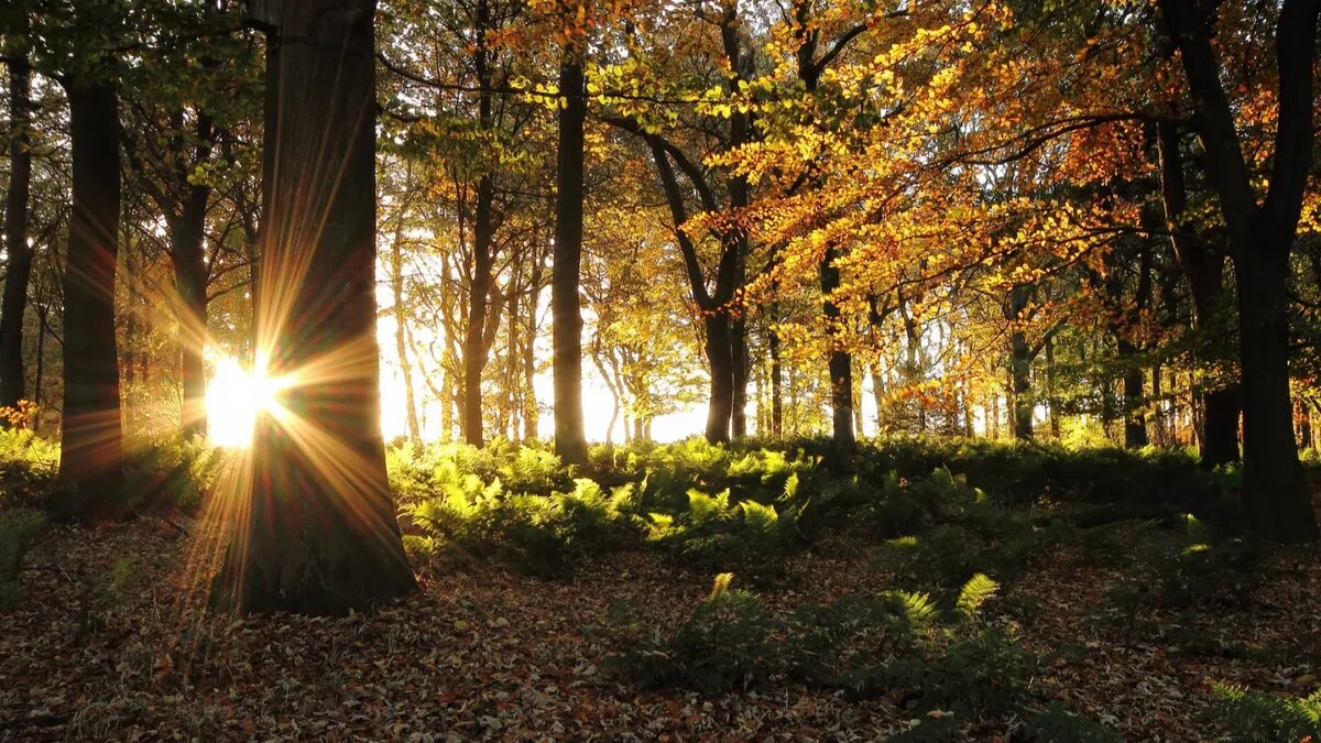 Магнитные бури не поддаются контролю. Фото: pxhere.com