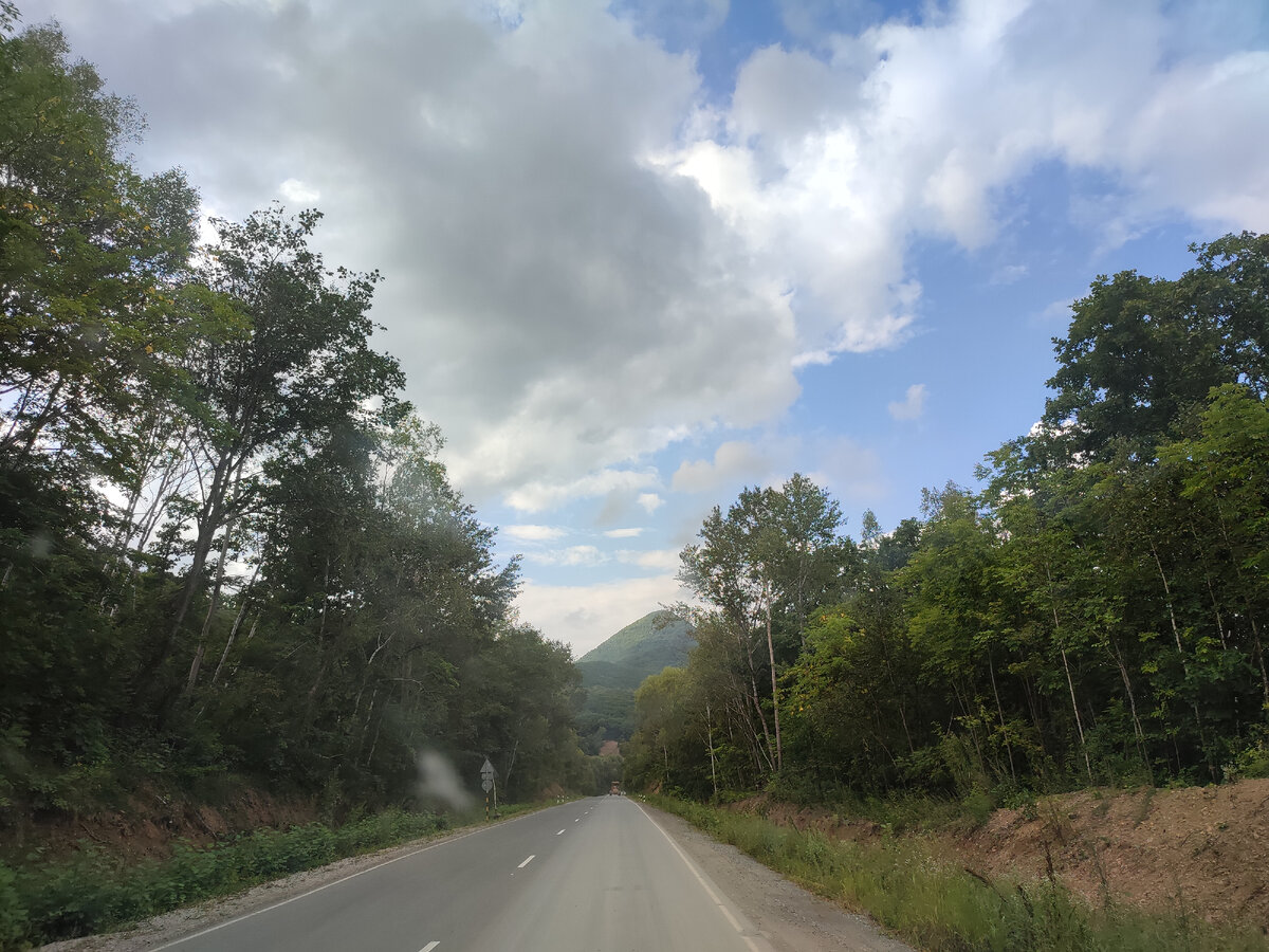 фото автора. Дорога на реку