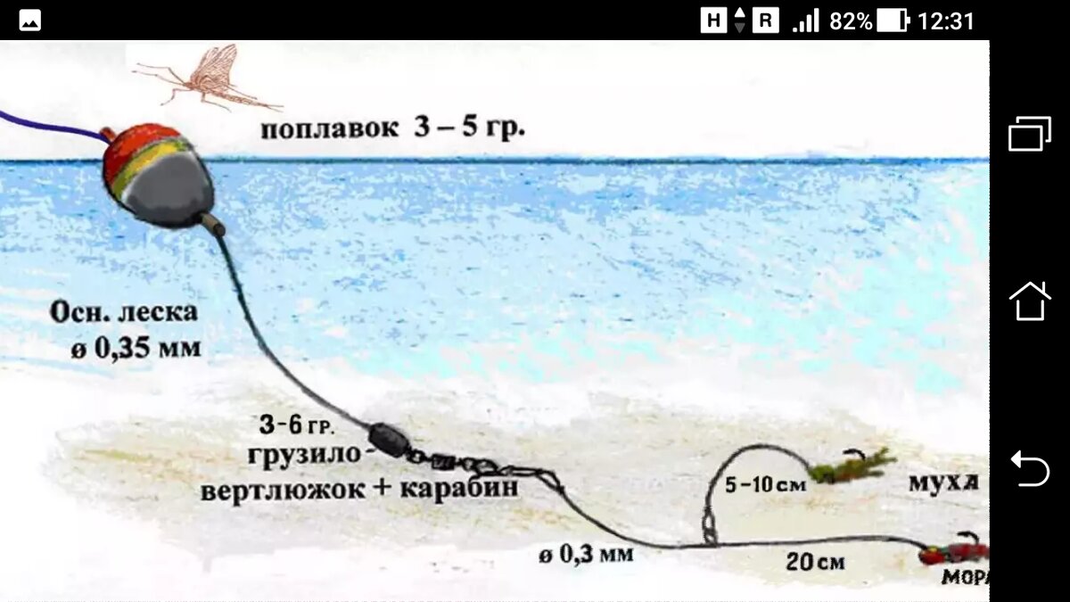 Снасти для ловли хариуса: советы по выбору