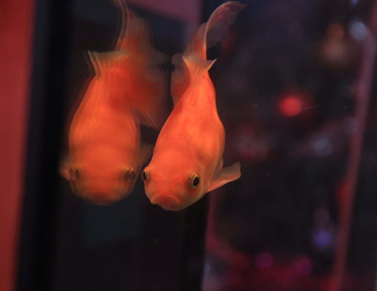 Фото: Владимир Жеребятьев
