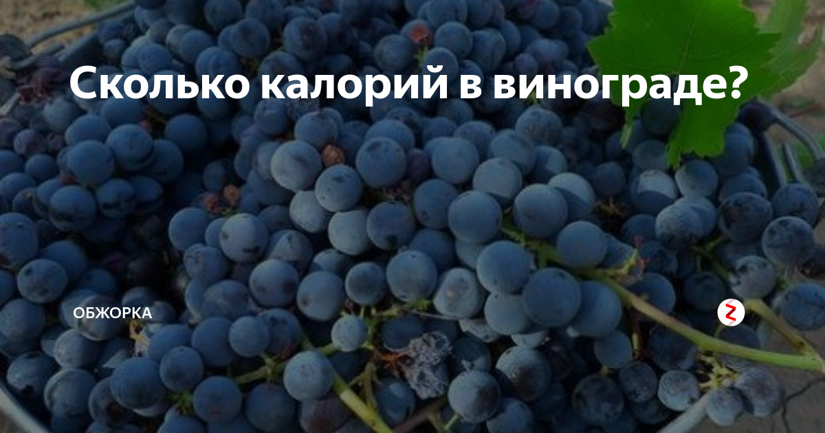 Сколько калорий в винограде. Виноград кишмиш черный калории. Калорийность винограда кишмиш черного. Виноград темный калорийность. Виноград калорийный.