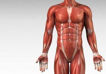 источник: plus.google.com