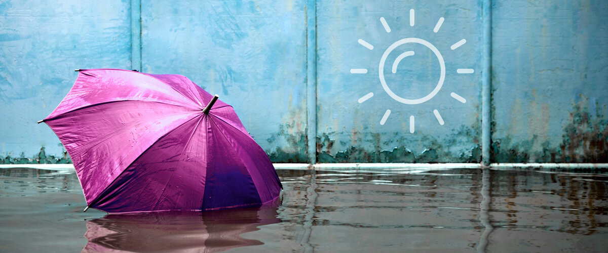 Фото: Коллаж. Материал: component / Shutterstock.com