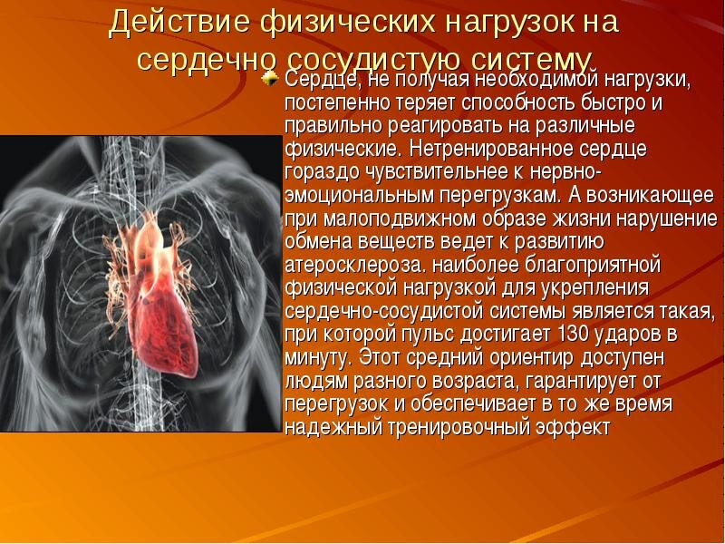 Система кровообращения человека сердце и кровеносные сосуды. Дыхательной и сердечно сосудистой системам. Упражнения для сердечно-сосудистой системы. Поражение сердечно-сосудистой системы. Сердечно сосудистая и дыхательная система.