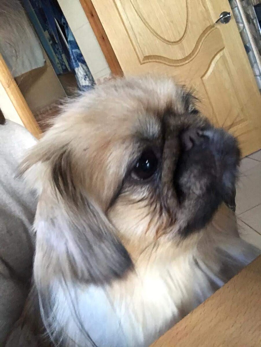 Фото беглянки