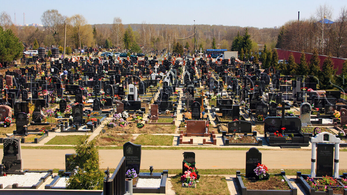 фото: Vybor.news