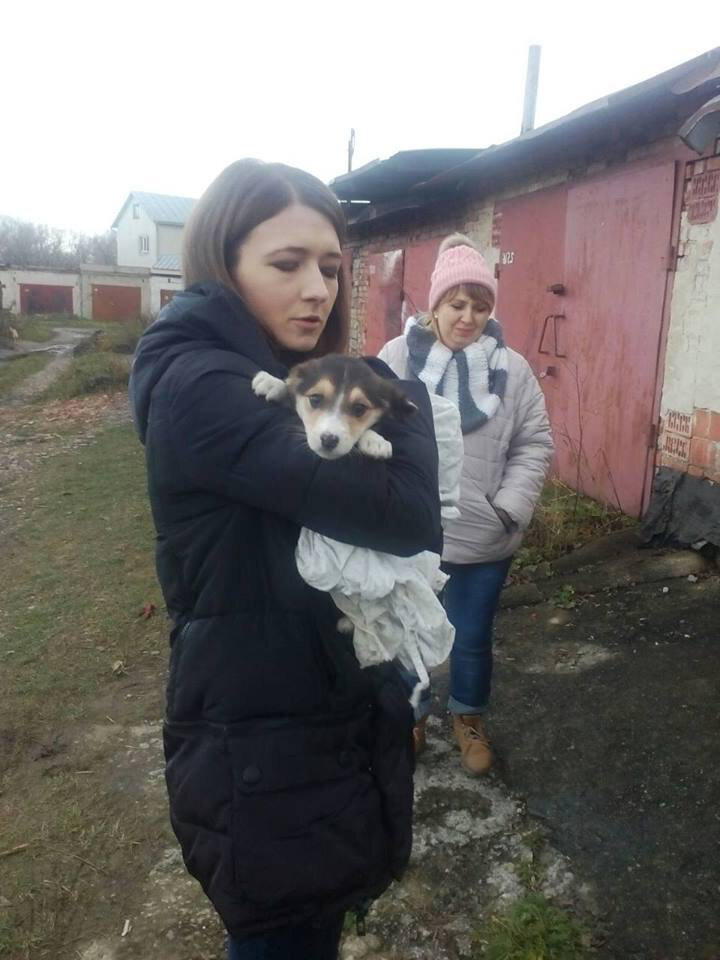 Ух, спасли бедолажку