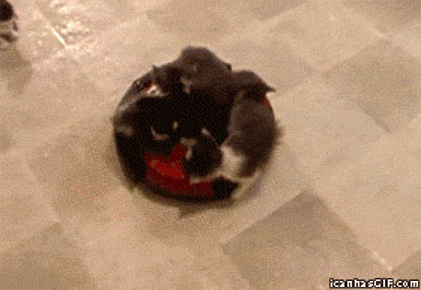 Маршрутка следует без остановок!  /Исходный Gif взят из свободных ресурсов. icanhasgif. com/  