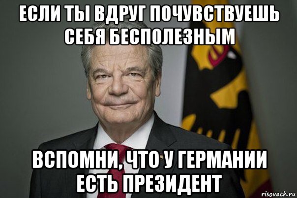 Популярный в сети Интернет мем про Президента Германии. Мем. В принципе вы его точно видели. Не президента - мем. http://risovach.ru/memy/prezident-germanii_1673817