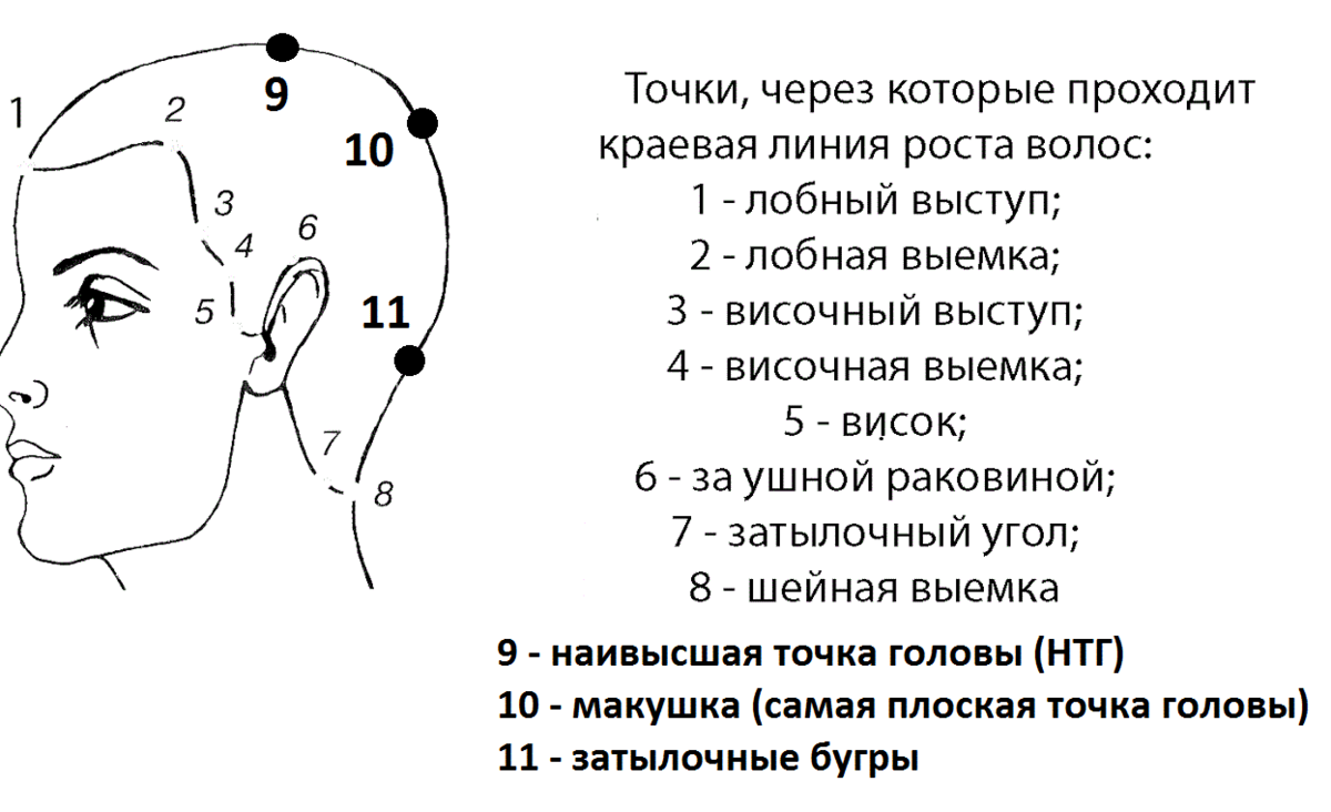 Схемы парикмахера. Краевая линия роста волос схема. Зоны волосяного Покрова головы. Перечислите названия участков краевой линии роста волос. Зоны волосяного Покрова головы схема.