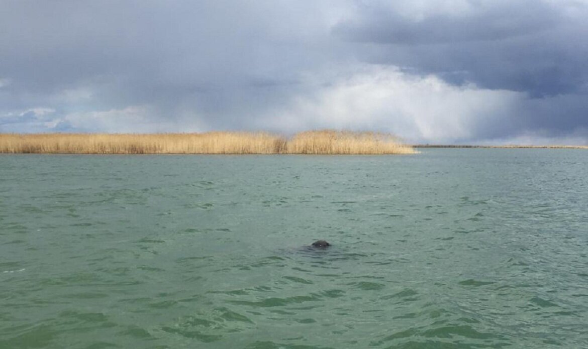 Дадынское водохранилище. Озеро дадынское Ставропольский. Дадынское водохранилище в Ставропольском крае. Озеро Зункарь Ставропольский. Озеро дадынское Ставропольский край рыбалка.