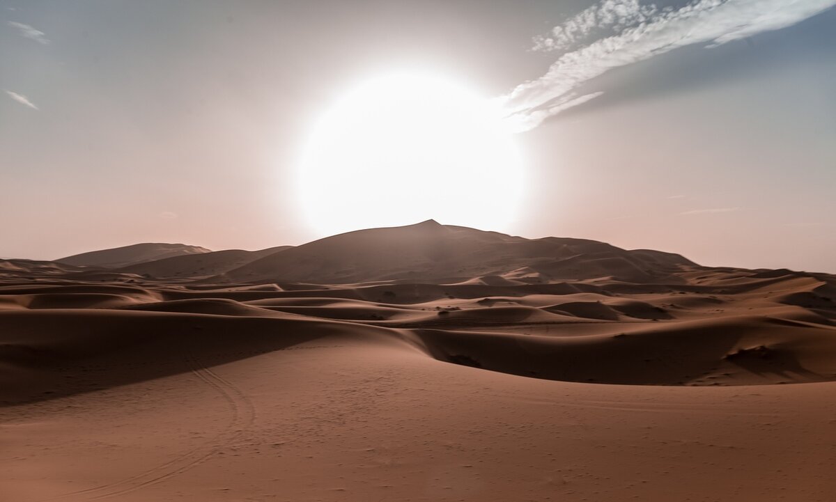 Утро в пустыне