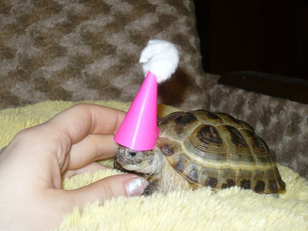 Фото из личного архива автора. Примерно 2007-2009 гг.