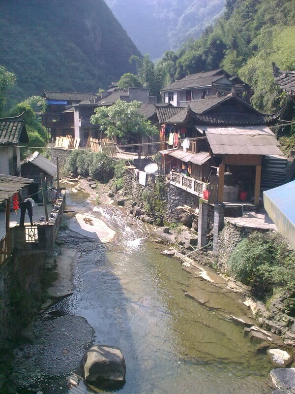 Яндекс.картинки