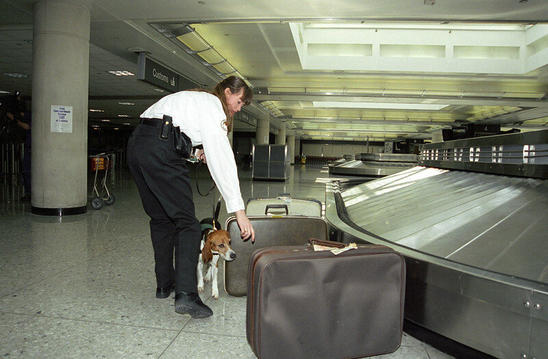 Лента выдача багажа в аэропорту.