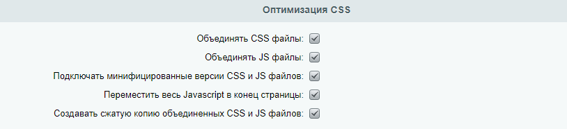 Необходимые опции для оптимизации скриптов и стилей