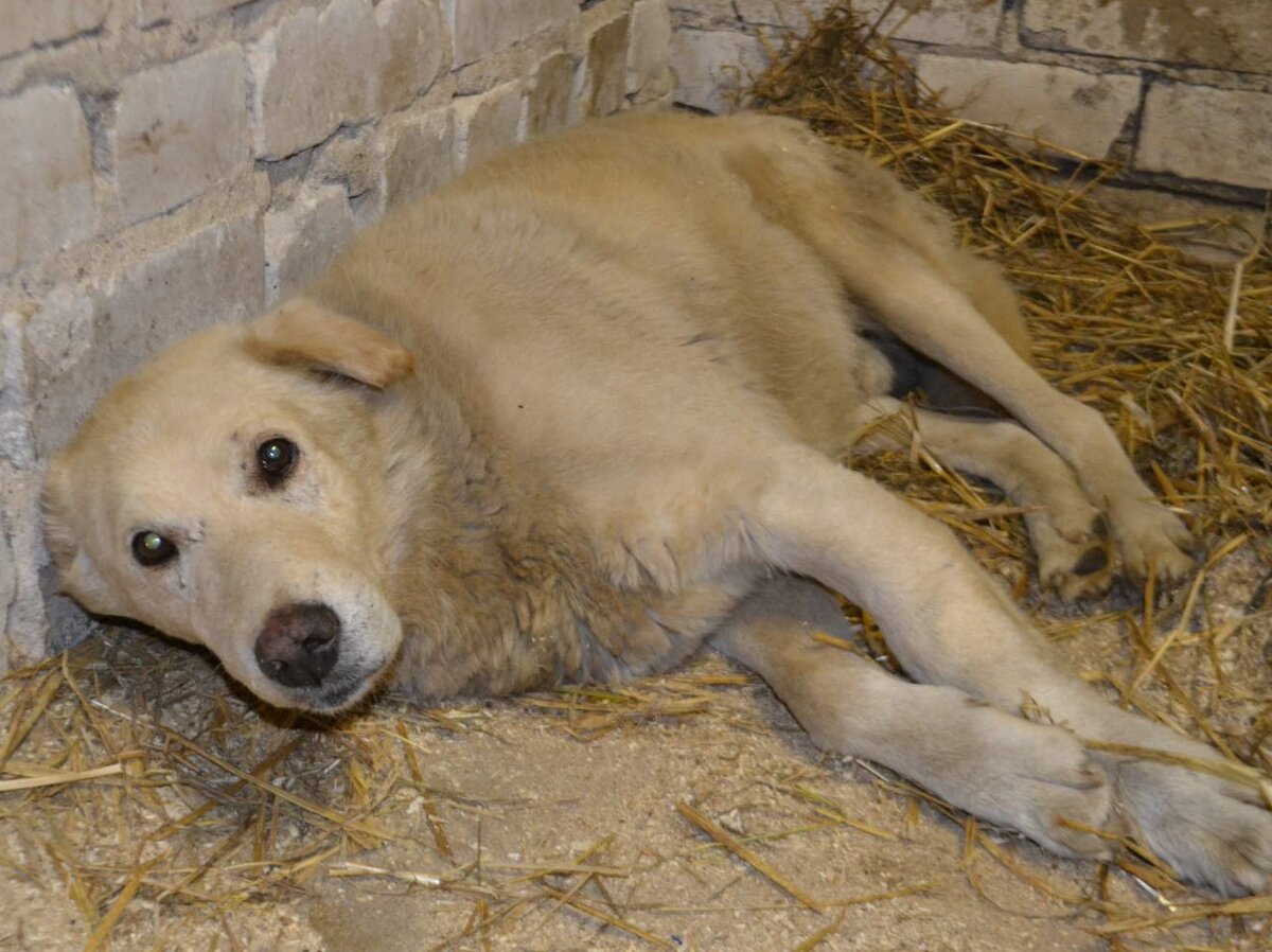 Ждем операцию