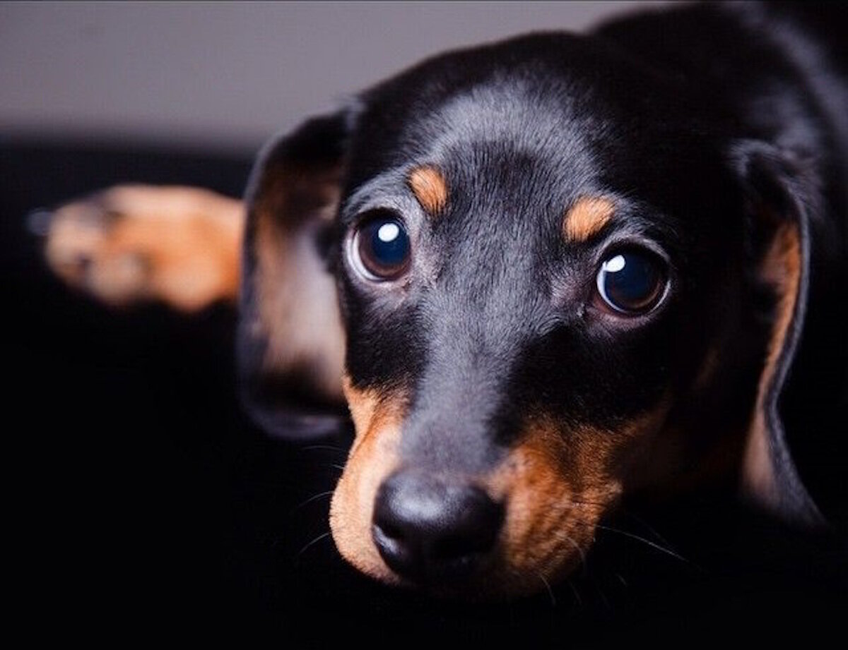 Какие могут быть вопросы, а? https://clck.ru/LbbHW