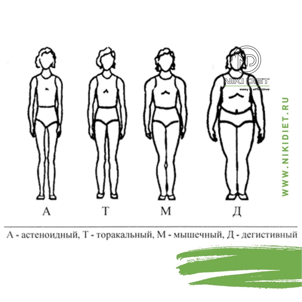 Фигура человека название. Типы телосложения. Типы телосложения человека. Астеноидный Тип телосложения. Телосложение человека по росту и весу.