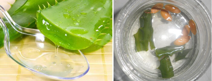 Источник: yandex.ua